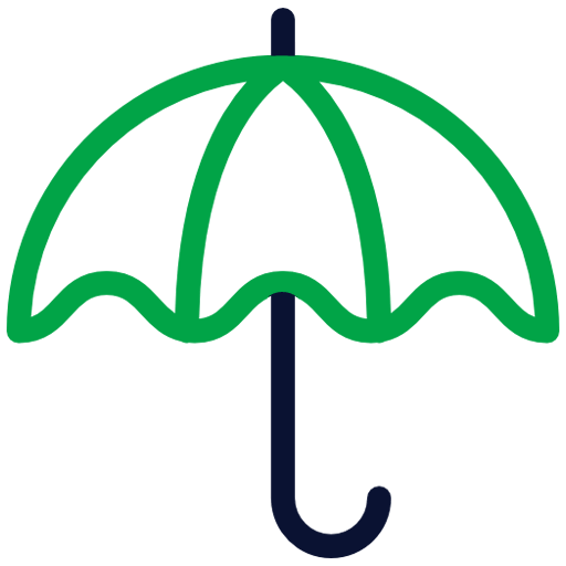 Term Life Insurance